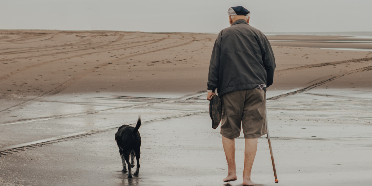 Arthrose du chien : comprendre, prévenir et soulager la douleur
