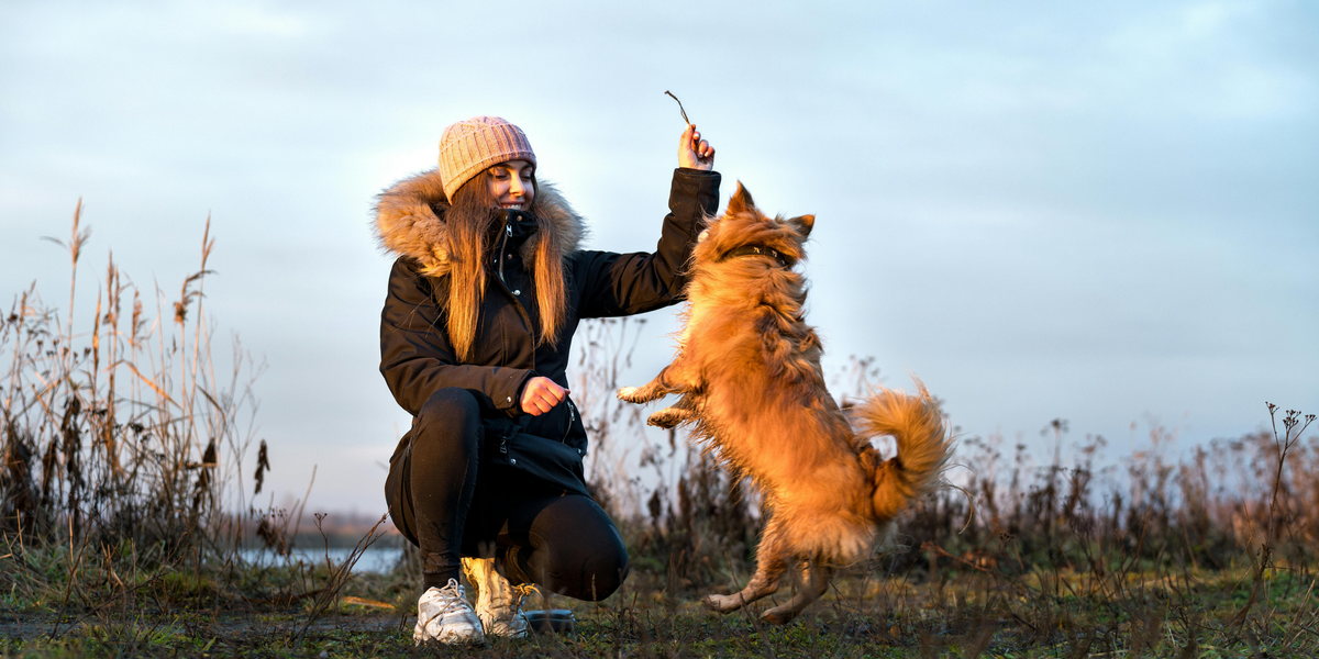 Maître et son chien complices lors d'une sortie