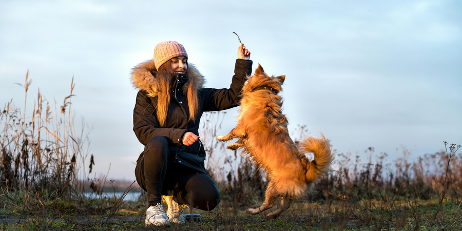 Maître et son chien complices lors d'une sortie