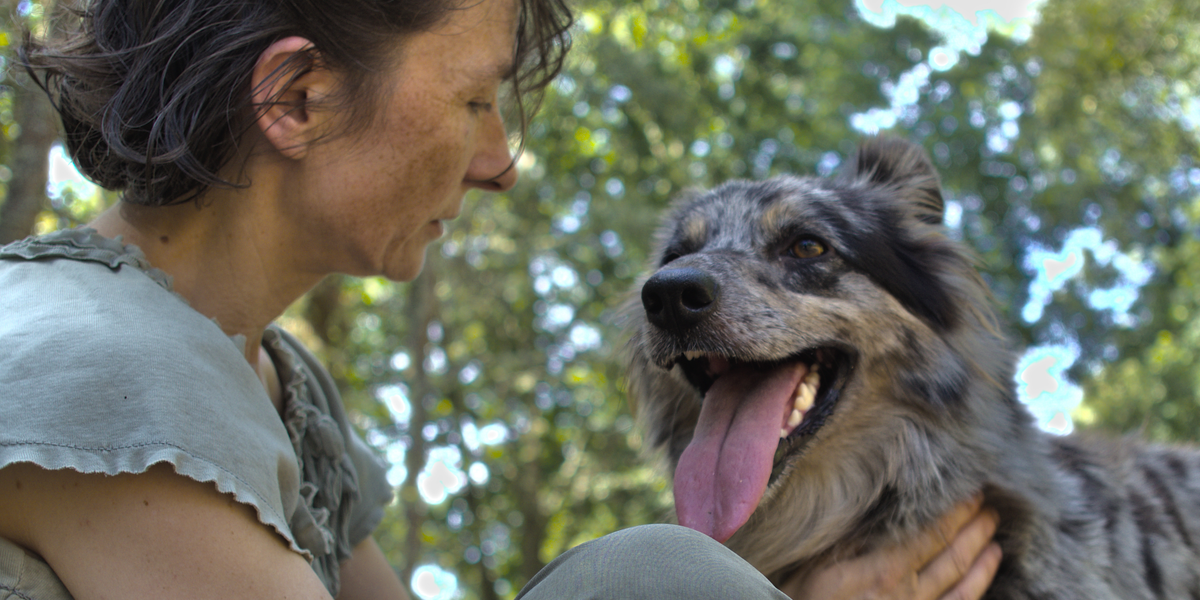 Repérer une urgence chez le chien : les signes qui doivent alerter (1/2)