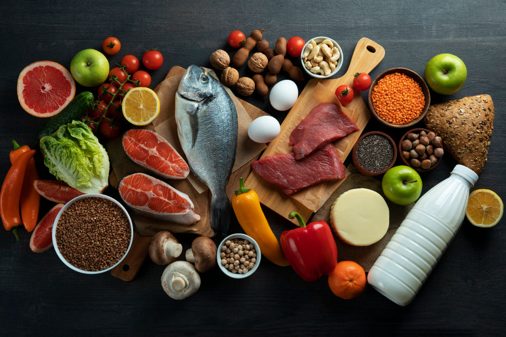 Tout savoir sur les protéines pour chien : le guide complet de la nutrition canine
