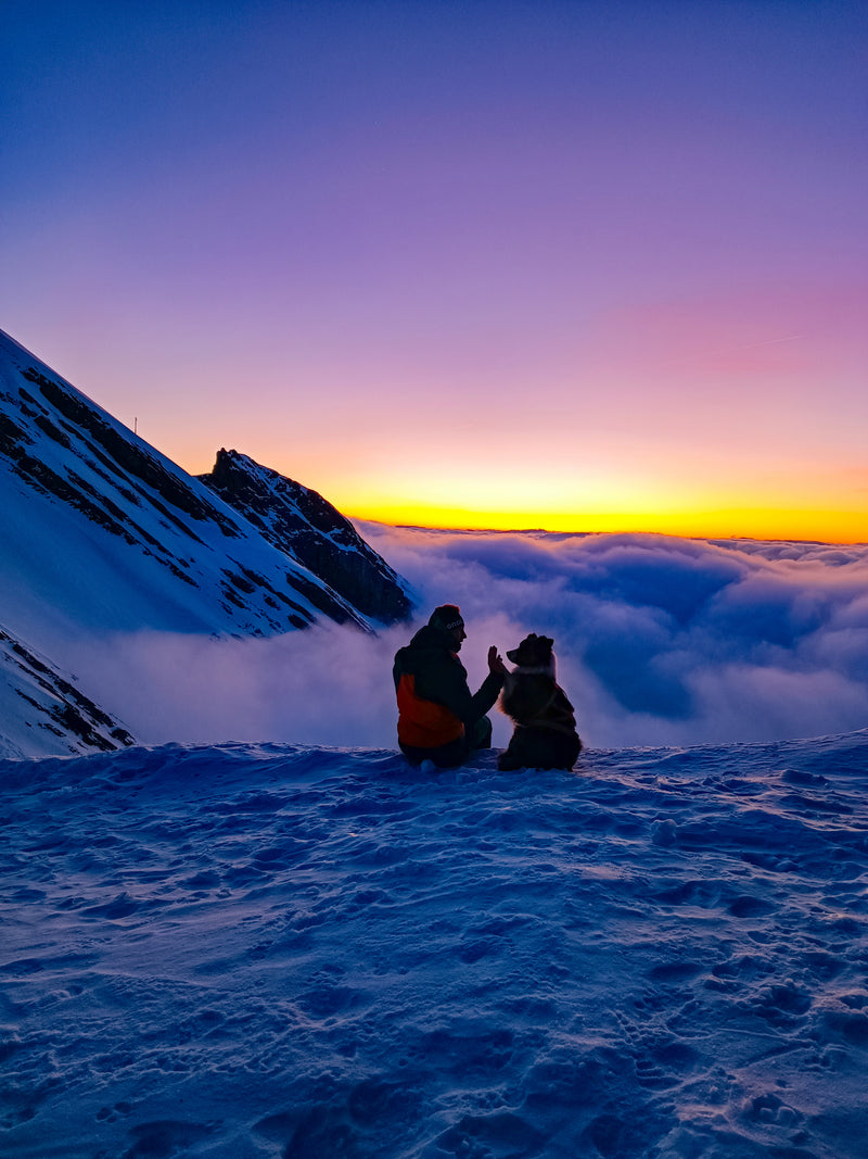 @le_sherpa_des_alpes