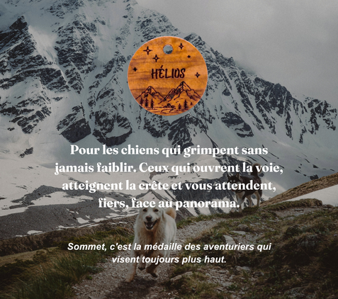 Sommet