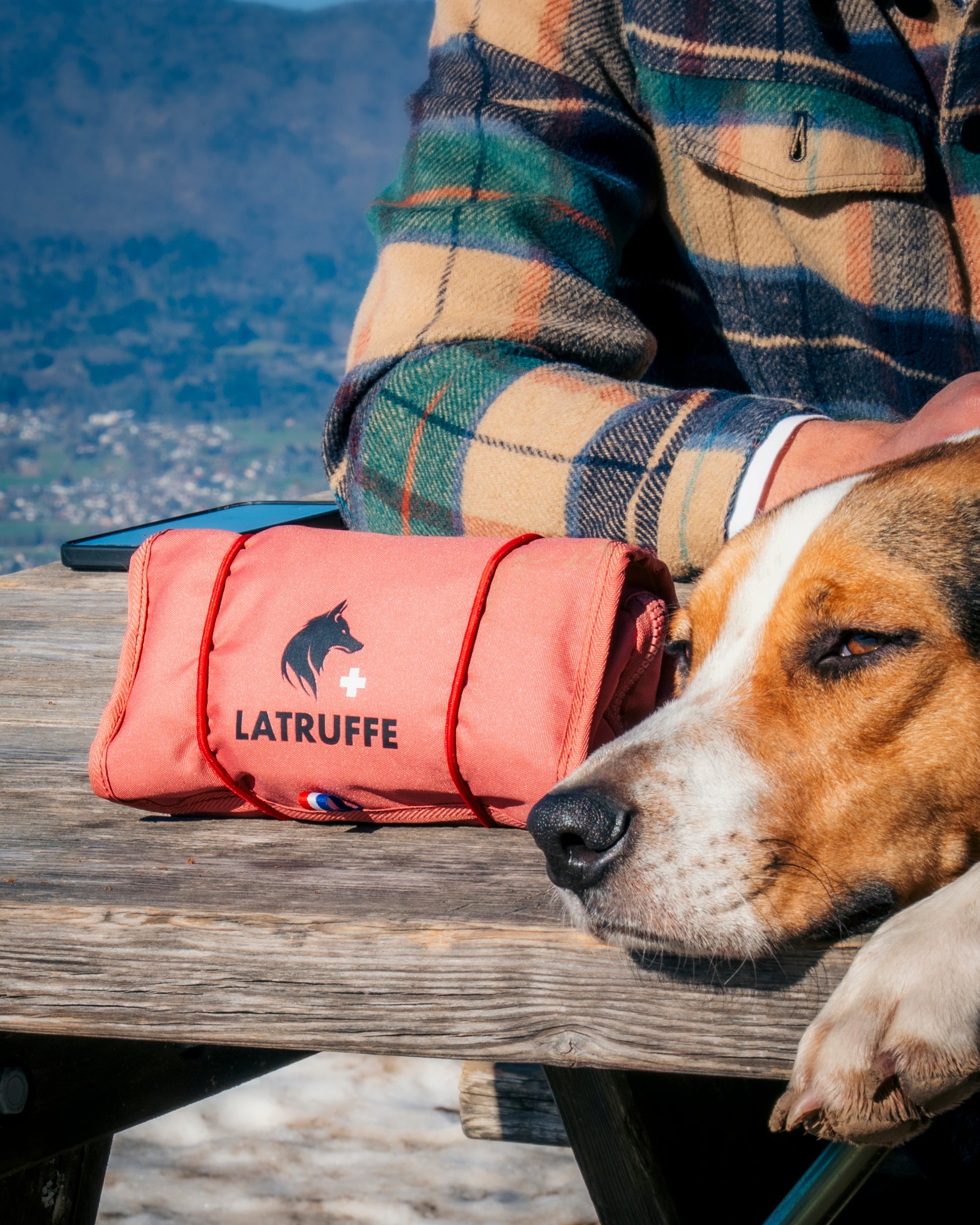 <p>Troussse de secours pour chien</p>