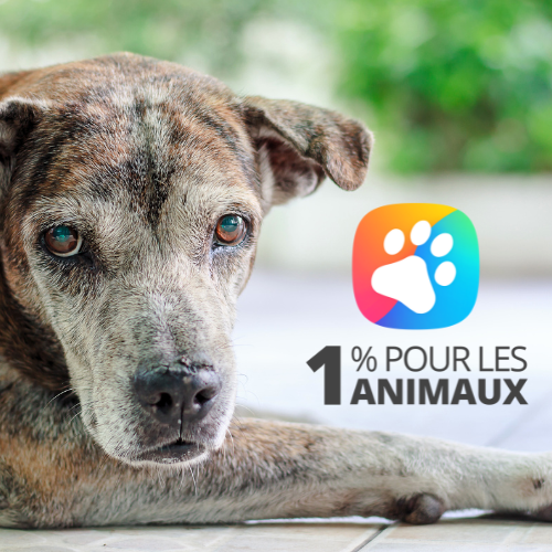 1 % pour les animaux