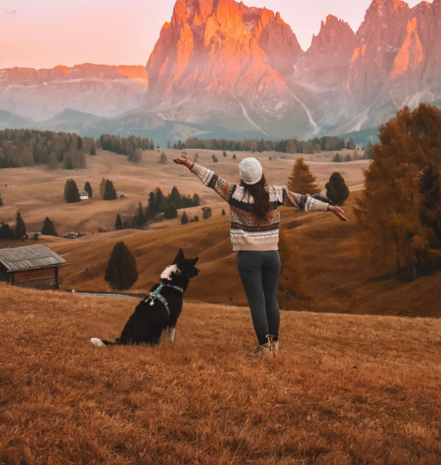 @mia_la_bordercollie