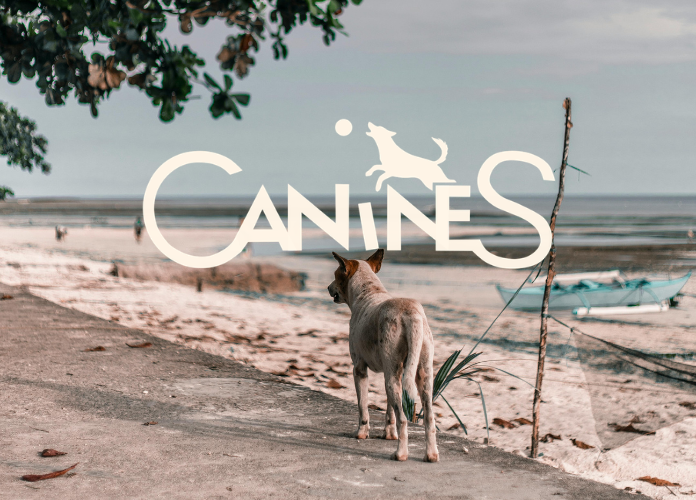 Canines