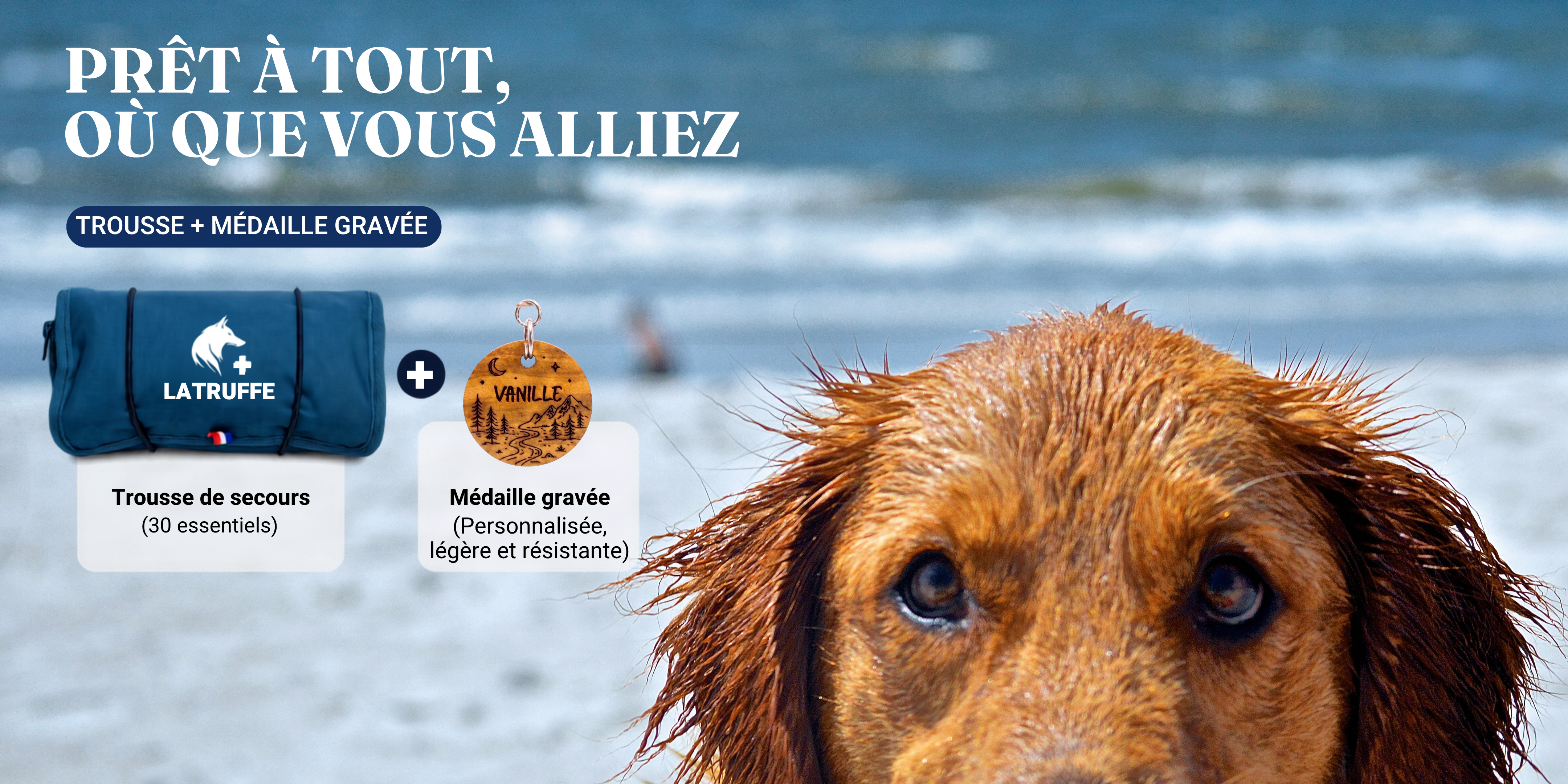 Chien à la mer + offre produit